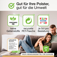 BiOHY Spezial Polsterreiniger 10L 10003007010