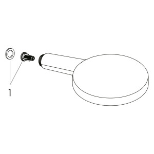 Hansgrohe Handbrause Raindance Select S 120 chrom 26530000