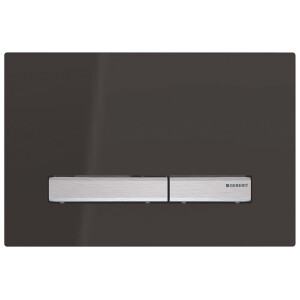 Geberit Betätigungsplatte Sigma 50 2-Mengen-Spülung schwarz 115788DW2
