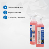 kör4u Profi Sanitär Reiniger 750ml