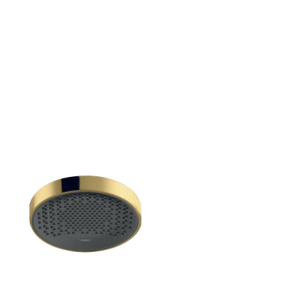 Hansgrohe Kopfbrause Rainfinity 250 1jet